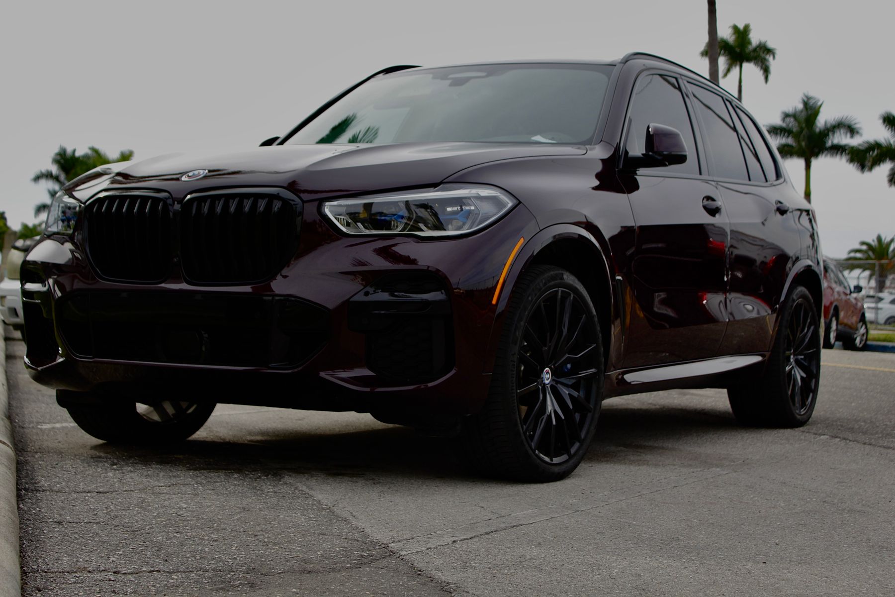 A dark SUV parked on a palm-lined street